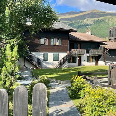 Rododendro * Livigno