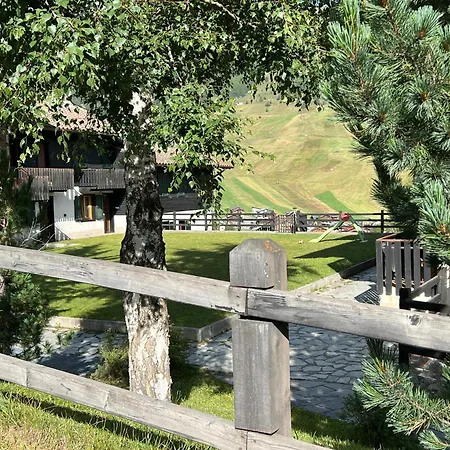 Rododendro Livigno